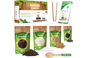 PYEF CRAFTS Flaschengarten Komplettset zum Schaffen EIN Ökosystem im Glas - Terrarium Starter Kit zum Anlegen EIN Biotop im Glas - Kit Terrarium mit Garten Werkzeug, Moos, Erde, Steinen (Ohne Flasche, M)
