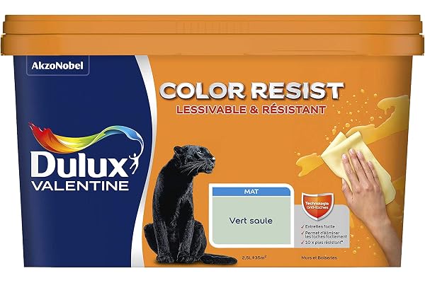Dulux Valentine Color Resist Pièces à Vivre - Peinture Intérieure Murs, Plafonds, Boiseries - Lessivable et Résistante - Couleur : Vert Saule - 2,5 L - 5351575