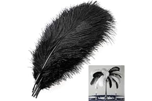 MWOOT 10 Stück Natürliche Straußenfedern, Strauß Feder Plume für Hochzeit Party Fest Tisch Herzstück Dekoration (Schwarz, 25-30cm)