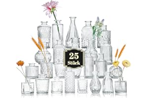 VIYMGIT Glas-Budenvasen-Set mit 25 Stück, Mini-Klare Budenvase für Großbestellungen, Kleine Vintage-Blumenvasen für Hochzeiten, Partys und dekorative Tischdekoration zu Hause