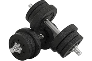 HOMCOM Ensemble d'haltères courtes total 25 kg - dumbbell paires - poids réglable - 12 plaques - barres incluses - entraînement musculaire & haltérophilie - acier polyuréthane noir