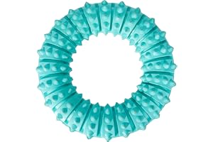 Adidas Denta Fun Ring 33181 Tuggleksak för Hundar, Grön, 12 cm