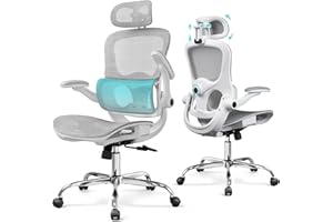 DEVAISE Silla de Oficina Ergonómica, Silla Ergonomica Escritorio con Reposacabezas 3D Ajustable, Reposabrazos Regulables, Respaldo Transpirable y Soporte Lumbar para Home Office, Blanco