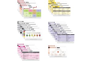 Nurse Nation Kartenset für Krankenschwestern, Laborwerte, EKG, Vitals, und mehr, 30 Stück Ausgezeichnetes Geschenk für Krankenschwestern, Krankenschwestern, Krankenschwest