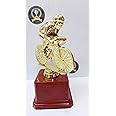 Trophy Golden Fiber Best Cycling Award