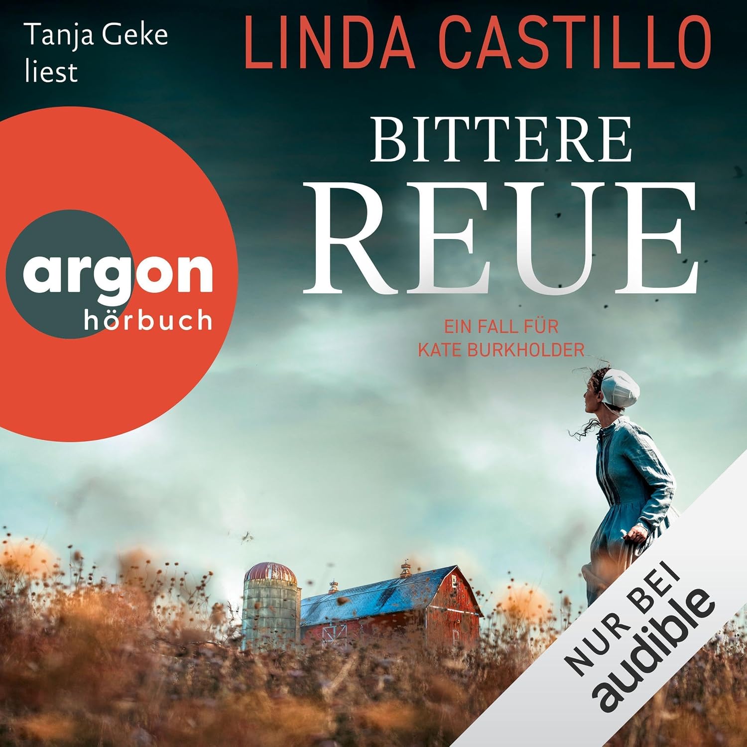 Bittere Reue: Kate Burkholder ermittelt, Band 17