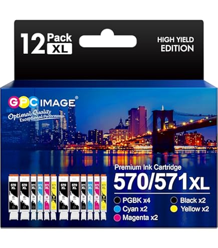 Lot De 5 Cartouches Encre Noire PGI-570 Compatible Canon - 24ml - Avec Puce Mise à Jour