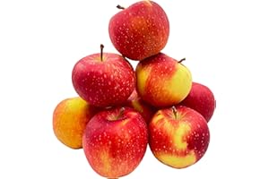 ‎BLEICHHOF Bleichhof Äpfel Gräfin Goldach Allergikerfreundlich - Süß-Säuerliche Sorte aus der Pfalz (10kg) Neue Ernte