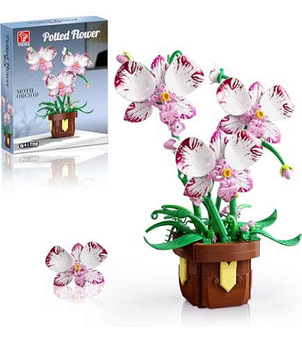 MEIEST - Bouquet De Fleurs En Blocs Avec Boîte à Musique Et Dôme Anti-poussière - Décoration Et Cadeau - Modèle 3D