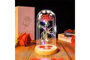 Ptesuply Beauty and The Beast Rose Lamp In the Glass Dome, Eternal Rose Artificial Flower with LED Light, Gift for Women Girl for Birthday Valentine's Day Mother's Day Christmas Anniversary