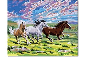 Fuumuui Malen Nach Zahlen Erwachsene und Kinder Anfänger Gemälde inklusive Pinsel und Acrylfarben 40 x 50 cm - Tiere, Pferd in der Prärie