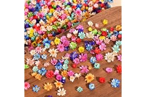 SYOZPXY 850Pcs Colorful Dried Flowers for Crafts Resin, Small and Delicate Dried Flowers for Candles Making, Dry Pressed Flowers for DIY with Your Friends, Mini Natural Dried Flowers to Beautify Your Nails
