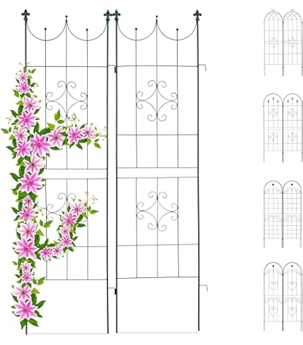 Een trellis om te planten, voor een decoratie met pit