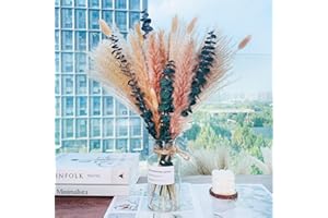 IS TYCONS Pampasgras Getrocknet Natürliche Trockenblumen Deko DIY Trockene Blüten Strauß,Pampasgras-Bouquet Schilfblume Deko Ideal for Boho Wohnzimmer-Schlafzimmer-und Vasen (50pcs)