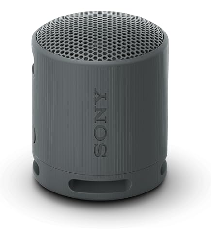 Sony SRS-RA3000 Enceinte portable stéréo Gris : Amazon.pl