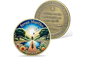 AtSKnSK 7 mesi di moneta di sobrietà 1-12 mesi di sobrietà Reborn Sober HA NA AA chip di recupero medaglioni narcotici alcolisti Regali anonimi per uomini donne (7 mese)