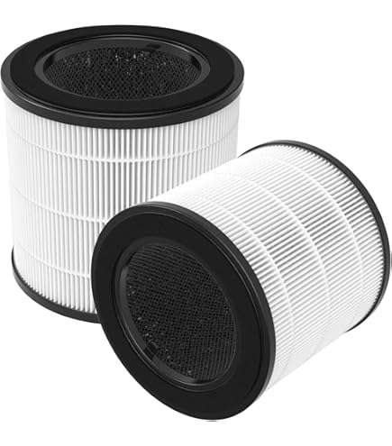 Filtri Di Ricambio HEPA H13 Per Philips Serie 900 (AC0920/10, AC0921/14) - 2 Pezzi, Con Carbone Attivo