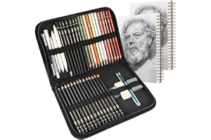 hhhouu Set di matite da disegno con penna a carboncino colorata, da Disegno e Accessori Creativa Colori Art Set Fornire a Artista Professionale e Principianti BW-CPS-N01