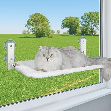 hängematte katze fenster Am häufigsten gewünscht: Artikel, die in Fensterplätze für Katzen am häufigsten zu Wunschzetteln oder Geschenklisten hinzugefügt werden fit_large Wähle Deine Farbe:Dark Shadow CUBE-Deals zum Saisonfinale! Schaffe