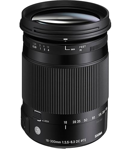 Tamron 16-300mm F3.5-6.3 DI II VC PZD (B016 - Foto 11