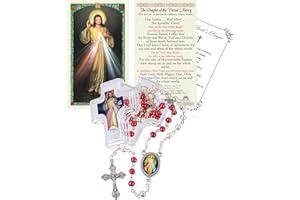 TRENDZEEN Divine Mercy Chaplet - Prayer Card, Divine Mercy Rosary with Centerpiece, Red and White Beads, Jesus Christ Cross Crucifix, Case, The Lord's Prayer Card | Catholic Set Of 4 Items