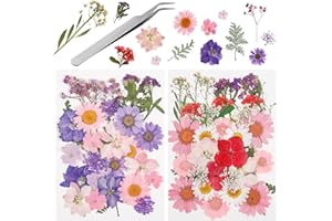 Heyu-Lotus Natürliche Getrocknete Gepresste Blumen, Mehrfarbige Echte Getrocknete Blumen für DIY Resin Art Crafts Scrapbooking Blumen, mit 1 Pinzette (Lila & Hellrot)