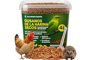 ALEJANDRO FUENTES AF® - Gusanos de la Harina 600 g, Tenebrios para gallinas Deshidratados 4 L, Gusanos para pájaros 100% Natural, Insectos para pájaros, Comida para vencejos