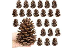 Larber 24 PCS Large Pine Cones,11-14cm Pinecones Fir Cones for Crafts Christmas Tree Table Vase Fillers Winter Decorations(Unscented) (24 pcs)