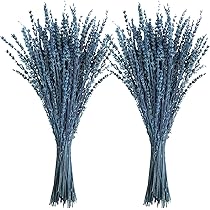 120 Fleurs Séchées Herbe De Pampa Naturelle Bleue - 40 Cm - Décoration Boho, Salon, Mariage, Queue De Lapin - Pour Vase Ou DIY