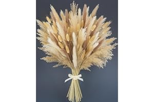 Nina-Maria's Deko Gold Flores Secas de la Pampa Natural XXL | Hierba de la Pampa Seca para Jarrón y Decoración | Pampas Secas Naturales, Ramo Decorativo para Hogar, Sala o Dormitorio