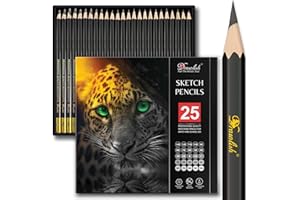 DRAWLISH Drawing Pencils for Artists - 25 Grades (14B to 10H) Sketching Pencils Set Covering All Grades - Graphite Pencil with Prime Wood - Art Pencil Ideal for Illustrations, Shading & more