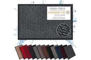 Carpet Diem Zerbino 40 x 60 cm - Tappeto ingresso antisporco - Interno ed Zerbino da Esterno, Tappetino antiscivolo per Porta, Tappeto antisporco per Porta d’Ingresso - Grigio chiaro-nero