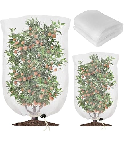 Rete Anti-uccelli E Insetti Per Alberi Da Frutto Con Cerniera – Protezione Per Piante Da Giardino, 3x3 M, Bianca