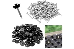 JIEHAOJIA Lot de 80 Clous D'étanchéité pour Bande à Picots,Clous de Montage 3x30 mm,Clous D'étanchéité pour Tôle à Alvéoles,Boutons de Montage avec Clou pour Film à Picots - Drainage de construction