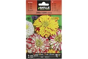 Semillas Batlle Zinnia TIGRINA variada