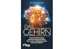 Das Gehirn: Neueste Erkenntnisse der Neurowissenschaften über unser wichtigstes Organ und seine Macken