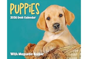 Carousel Worldwide, Puppies 2026 Mini Box Desk Calendar