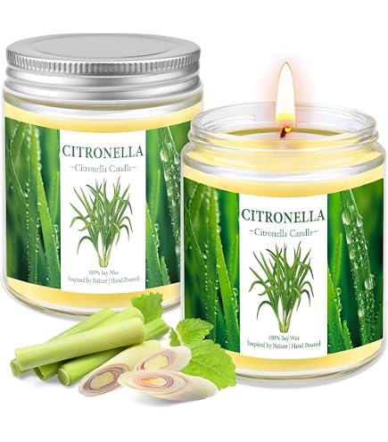 Lot De 25 Bougies Chauffe-Plat Citronnelle - Anti-Insectes Et Ambiance