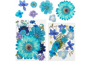 Attuslla 44 Pz Fiori Secchi per Resina, Blu Naturali Pressati Fiori Pressati Secchi, Fiori Secchi Veri Pressati Fiori per Scrapbooking, Gioielli in Resina Epossidica