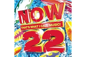 Now That's What I Call Music 22