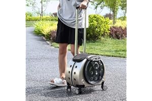 KHUY Katzen Transportboxen, Hundetrolley bis 10 Kg mit Premium-rädern um Katzen-reise-fördermaschine, Hunderucksack Kleine Hunde mit Vergrößerungs Rädern und Vent (Color : Gold)