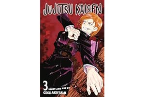 HIKYSKIN Jujutsu Kaisen, Vol. 3: Young Fish And Reverse Punishment (English Edition)