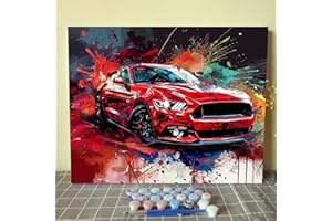 Tucocoo Peinture par Numéros Adulte - Voiture Rouge DIY - Kit de Peinture Acrylique sur Toile - Style Graffiti Art Ferme - 50.8x40.6cm / 40.6x50.8cm