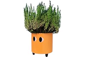 Fisura - Original Flower pots "Eyes Design", Ceramic Plant pots Indoor, Decorative Indoor planters with Legs for Cactus, Planters for Flowers and Succulents, Dimensions: 13cm x 12,5cm (Orange)