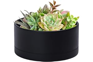 D'vine Dev 10 Inch Plastic Shallow Planter, Large Round Succulent Plant Pot with Drainage Hole and Sauce, Decorative Bonsai Pot for Indoor Plants, Black, 76-A-M-2