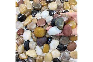FANTIAN 2lb Natural Mixed Color Pebbles, 30-50 mm Decorative Stones for Indoor Plants Pot Vase Ponds Fountain Aquarium Fish Tank Gravel and Outdoor Garden Rocksand Outdoor Decorative Stones