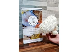 Lions Mane Mushroom Growing kit - Ready to Grow Mushroom kit, (Hericum erinaceus) Foragers Table