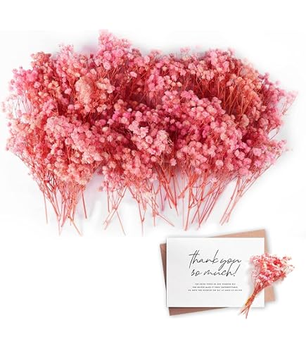 100 Stück Schleierkraut Getrocknet – Weiße Trockenblumen Für DIY, Basteln Mit Harz, Kerzen, Schmuck & Nagelkunst, Inkl