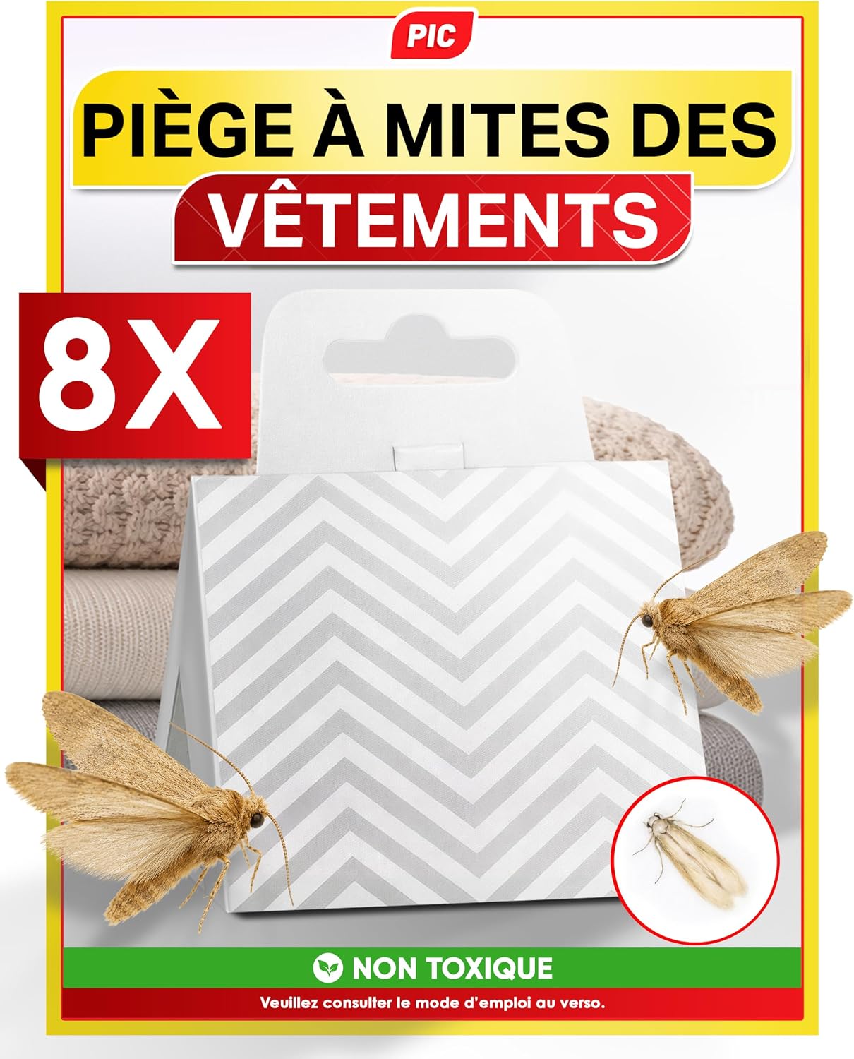 Vue 10
