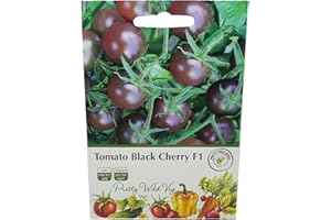 PRETTY WILD SEEDS Tomato Black Cherry Seeds in Pictorial Packet from a UK Seller Heavy cropping with a Very Rich Flavour